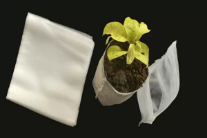 育苗袋的材质可以降解吗